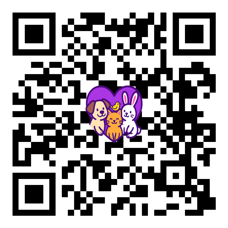 QR Adomigo